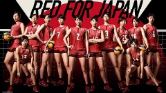 【限定】ミズノ　全日本女子着用カラーシューズ！9月6日発売予定。ご予約受付中！！【新宿店４Fバレーボール】