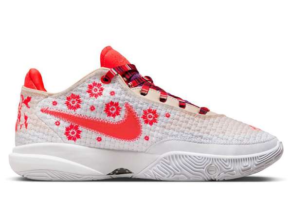 ミミ・プランジXレブロン『NIKE LEBRON XX PRM EP』9月1日(金