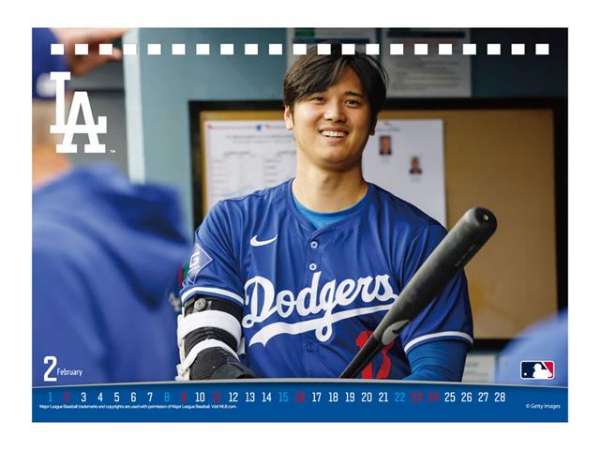 大谷翔平選手　2024年、2025年カレンダー2本セット 2個セット お得】【送料無料】2025年☆大谷翔平 壁掛け