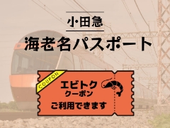 小田急ロマンスカー海老名パスポート【エビトククーポン】使えます！