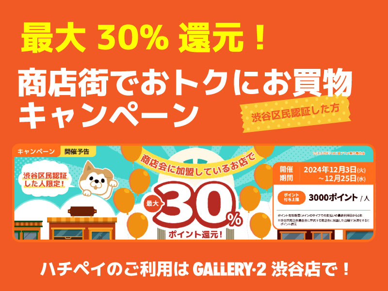 ハチペイ最大30%還元!商店街でおトクにお買物キャンペーン