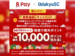 海老名ビナウォーク【楽天Pay X 小田急のショッピングセンターで新春運試し！】抽選で最大10,000ポイント当たるキャンペーン